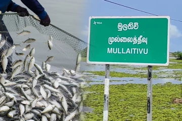 முல்லைத்தீவில் நெக்டா நிறுவன ஊழியர் மீது தாக்குதல்!