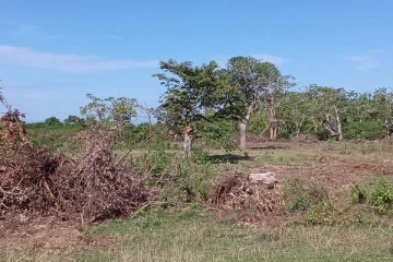 கங்குவேலி குளத்தின் பகுதிகள் ஆக்கிரமிப்பு: சட்ட நடவடிக்கை எடுக்குமாறு கிராம மக்கள் கோரிக்கை (Video)