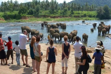 2025யின் முதல் 5 நாட்களில் இலங்கையில் வந்து குவிந்த சுற்றுலாப் பயணிகள்!