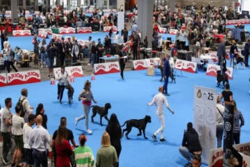 சர்வதேச நாய்கள் கண்காட்சியில் பரவசமடைந்த ஏராளமான பார்வையாளர்கள்!