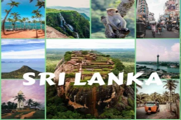 இலங்கைக்கு வந்து குவியும் சுற்றுலா பயணிகள்