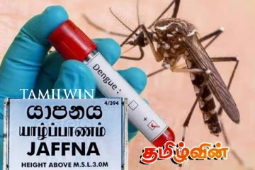 யாழில் அதிகரிக்கும் டெங்கு நோய்த் தாக்கம்: விடுக்கப்பட்டுள்ள எச்சரிக்கை