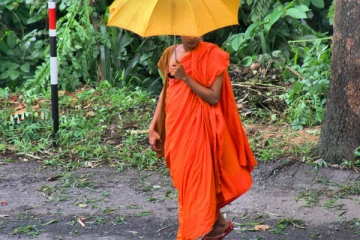 பிக்கு கொலை; நாடு திரும்பிய இளம் பெண் கைது!