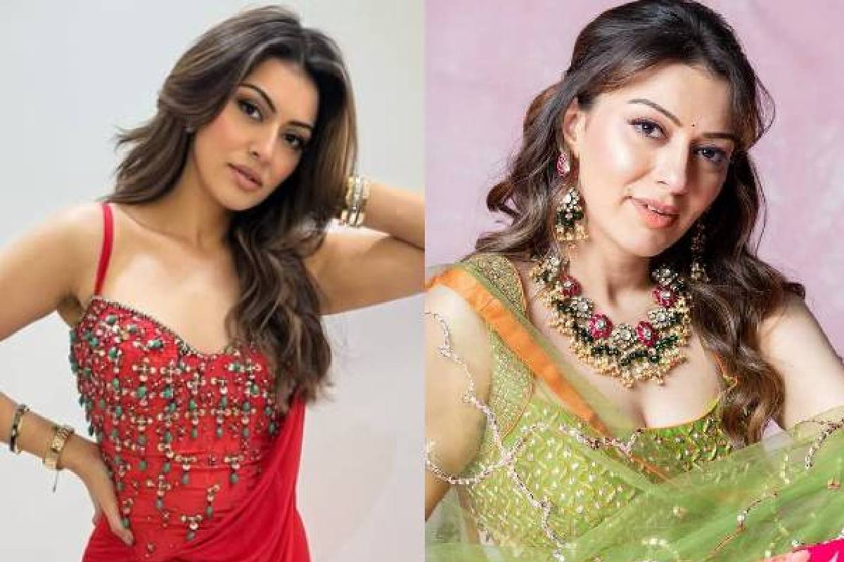 விவாகரத்துக்கு பின்னும் மாஸ் காட்டும் ஹன்சிகா ... சிங்கத்திடம் செய்த சேட்டையை பாருங்க | Hansika Motwani After Divorce With Lion Phots