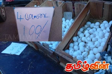 முட்டை வாங்க அம்பாறைக்குச் செல்லும் வெளிமாவட்ட மக்கள்
