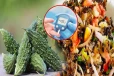 நீரிழிவுக்கு அருமருந்தாகும் ருசியான பாகற்காய் சம்பல்! பண்ணலாமா?