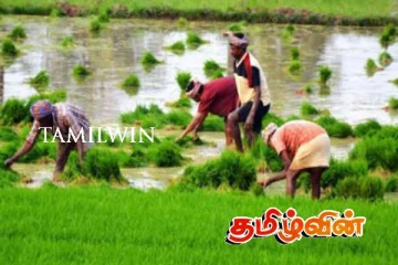 விவசாயிகளுக்கான இழப்பீட்டுத் தொகையை ஒரு லட்சம் ரூபாவாக அதிகரிக்குமாறு கோரிக்கை