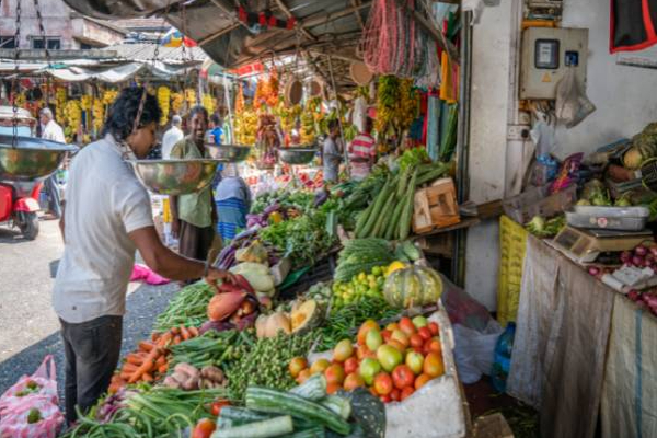 இலங்கையில் விரைவில் இதற்கு பாரிய தட்டுப்பாடு ஏற்படும் அபாயம்! | Srilanka Next Three Month Vegetable Shortage Occur