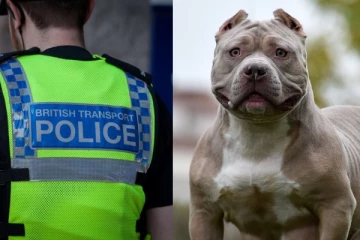 கருணை கொலை செய்யப்பட்ட XL புல்லி இன நாய்! மன்னிப்பு கேட்ட பிரித்தானிய பொலிஸார்