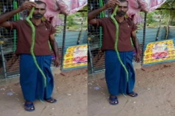 தமிழர் பகுதியொன்றில் அதிசயம் ; காண படையெடுக்கும் மக்கள்