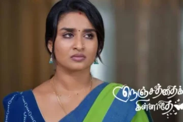 திடீரென முடிந்த நெஞ்சத்தை கிள்ளாதே, வெறுப்பை கொட்டிய ரசிகர்கள்... ரேஷ்மா போட்ட கோபமான பதிவு