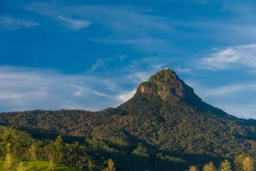 සිරිපා වන්දනා සමය මැයි 31 වනදායින් අවසන්