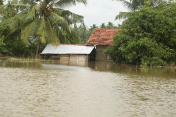 தாழ்நிலப் பகுதிகள் வெள்ளத்தில் மூழ்கின !