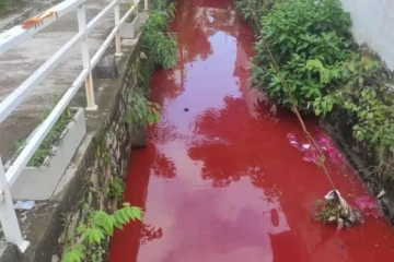 கொழும்பில் திடீரென சிவப்பு நிறமாக மாறிய கால்வாய்!