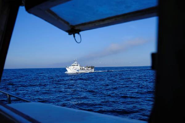 2026 ஆம் ஆண்டுக்கான மீன்பிடி ஒதுக்கீடுகள்... ஒப்புக்கொண்ட ஐரோப்பிய ஒன்றிய நாடுகள் | Eu Countries Agree Fishing Quotas 2026 ஆம் ஆண்டுக்கான மீன்பிடி ஒதுக்கீடுகள்... ஒப்புக்கொண்ட ஐரோப்பிய ஒன்றிய நாடுகள் | Eu Countries Agree Fishing Quotas