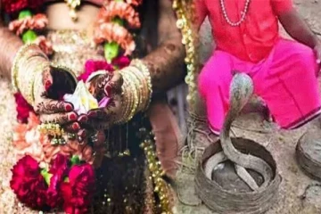 பாம்புகளை வரதட்சணையாக கொடுக்கும் விநோத பழக்கம்: இதெல்லாம் நடப்பது எங்கு தெரியுமா?