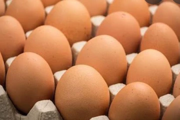 බිත්තර මිල තවත් ඉහළ යයි.