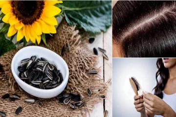 எண்ணற்ற நோய்களுக்கு மருந்தாகும் சூரியகாந்தி விதைகள்!