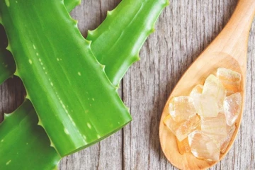 கற்றாழையை அடிக்கடி சாப்பிட்டு வருவதால் கிடைக்கும் பயன்கள் என்ன தெரியுமா?