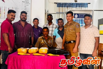 நல்லூர் பிரதேச சபை உறுப்பினர் கஞ்சாவுடன் கைது