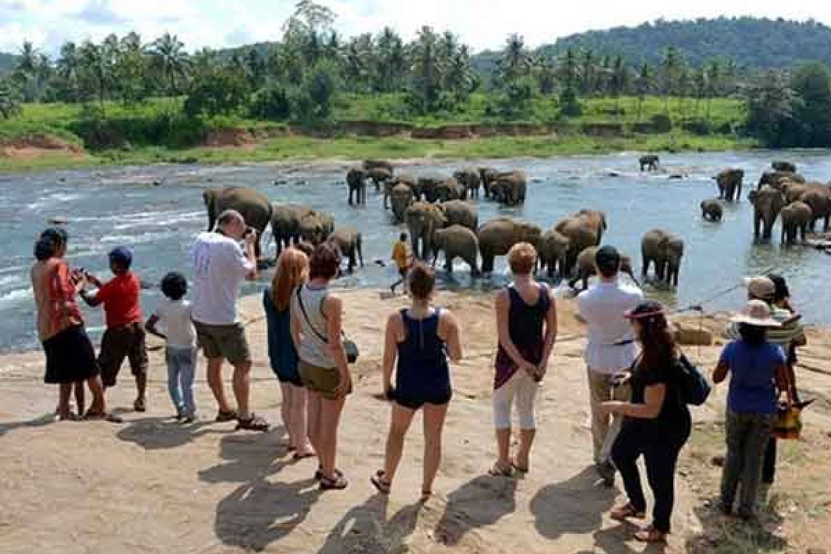 சுற்றுலாப் பயணிகளின் வருகையில் ஏற்பட்டுள்ள மாற்றம்! | Number Of Tourists Exceeds 800 000