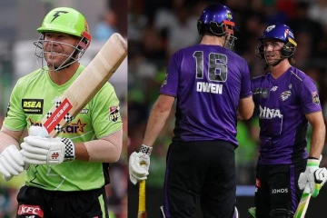 வார்னரின் அதிரடி சதம் வீண்: 17.5 ஓவரிலேயே 207 ஓட்டங்கள் எடுத்து வென்ற அணி