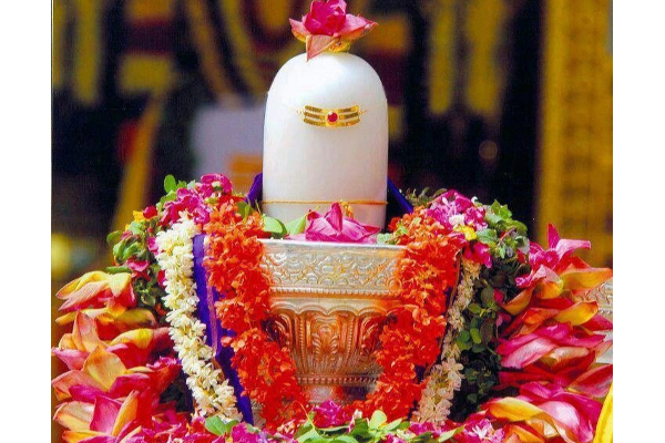 இன்று  மகா சிவராத்திரி  தினம்; நான்கு கால பூஜைகளை வழிபட கிடைக்கும்  பலன்கள்;  என்னென்ன தெரியுமா? | Today Is Maha Shivaratri Day