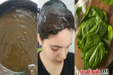 நரைமுடிக்கு தீர்வு வேண்டுமா? வெற்றிலையுடன் இந்த பொருட்களை சேர்த்தால் போதும்