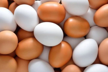 අද අධිකරණයට යන බිත්තර මිල