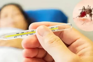 இலங்கை முழுவதும் தீவிரமடையும் டெங்கு நோய் தொற்று