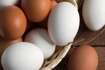 உள்ளூர் முட்டை விலை தொடர்பில் வெளியான முக்கிய அறிவிப்பு!