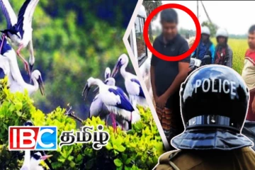 மட்டக்களப்பில் சுற்றுலா பறவைகளை சுட்டுக் கொன்ற நபர்கள் கைது