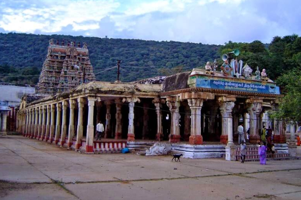 ஆடித்திருவிழாவை முன்னிட்டு கள்ளழகர் கோவிலில் தேரோட்டம் கோலாகலம் | Aadi Thiruvizha Kallazhagar Throttam In Madurai