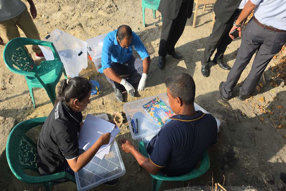 செம்மணியில் மீட்கப்பட்ட என்புக்கூடுகள் 400 ஐ கடந்தன | Chemmani Mass Graves Jaffna செம்மணியில் மீட்கப்பட்ட என்புக்கூடுகள் 400 ஐ கடந்தன | Chemmani Mass Graves Jaffna
