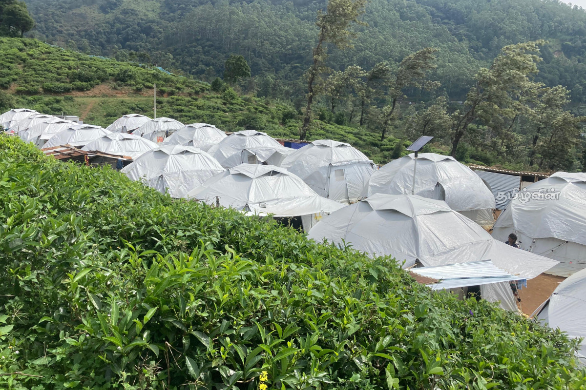 நுவரெலியா - ஹக்கலையில் தொடர்ந்து தற்காலிக கூடாரங்களில் வாழும் குடும்பங்கள் | 23 Families Live Temporary Tents In Nuwara Eliya நுவரெலியா - ஹக்கலையில் தொடர்ந்து தற்காலிக கூடாரங்களில் வாழும் குடும்பங்கள் | 23 Families Live Temporary Tents In Nuwara Eliya