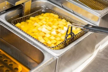 சிக்கன் பொரித்த எண்ணெயை வாகனத்துக்கு எரிபொருளாக பயன்படுத்த பிரான்ஸ் திட்டம்?