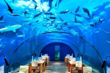 யாழில் உள்ள  ஒரு தீவை சொர்க்கத் தீவாக மாற்ற யோசனை முன்வைப்பு!