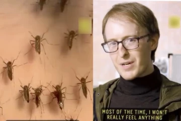 15,000 கொசுக்களின் விருந்து! கொசு மனிதனின் வித்தியாசமான ஆராய்ச்சி