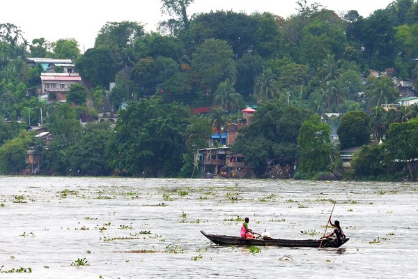 கொட்டித்தீர்த்த மழை; வெள்ளத்தில் தத்தளிக்கும் 142 கிராமங்கள் | Assam Flood 142 Villages Reeling Under Floods