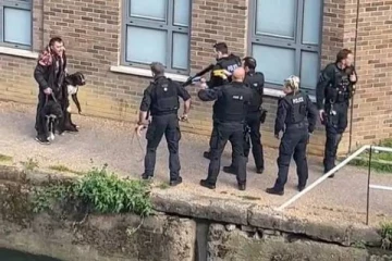 பிரித்தானியாவில் பெண்ணை தாக்கிய நாய்கள் சுட்டுக்கொலை