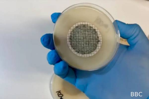 தேம்ஸ் நதியில் பயங்கர கிருமிகள்: ஆய்வாளர்கள் எச்சரிக்கை | Antibiotic Resistant Bacteria Found Thames River தேம்ஸ் நதியில் பயங்கர கிருமிகள்: ஆய்வாளர்கள் எச்சரிக்கை | Antibiotic Resistant Bacteria Found Thames River