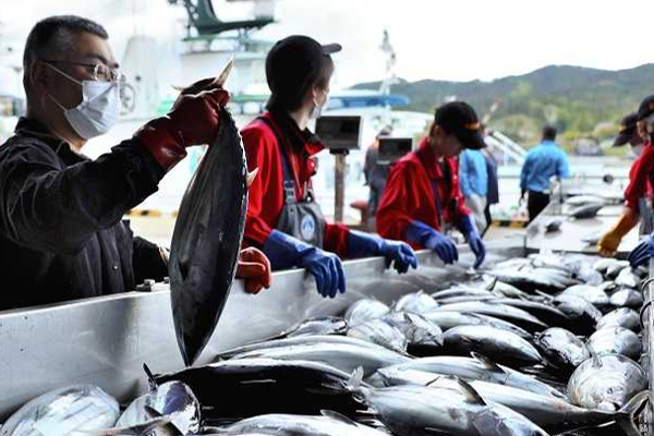 Japan Fukushima nuclear reactor wastewater