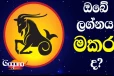සුර්යයා මීන රාශියෙන් මේෂ රාශියට යද්දී - මකර ලග්නයේ උපන් ඔබට කොහොමද ?