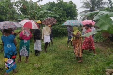 வவுனியாவில் நீர்நிலைக்கு விஷம் கலந்ததால் 12 மாடுகள் பலி(Photos)