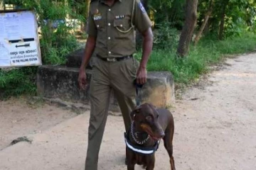 யாழில் வீடொன்றை சுற்றிவளைத்த பொலிஸார்! சிக்கிய இரு இளைஞர்கள்