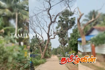 மாஞ்சோலை வைத்தியசாலைப்பகுதி : அச்சத்தை ஏற்படுத்துவதாக முறைப்பாடு