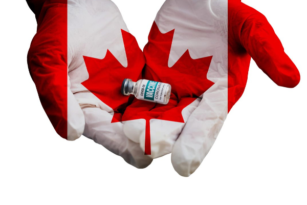 கொரோனா தடுப்பூசிகளை குப்பையில் கொட்டிய கனடா! | Canada Trashed Corona Vaccines