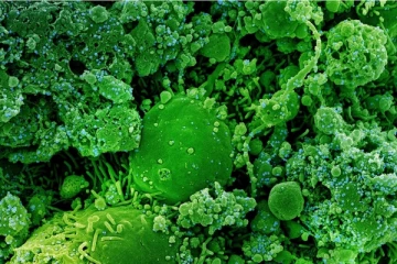 எச்சரிக்கை ரிபோர்ட்! விந்தணுக்களை பாதிக்கும் Corona வைரஸ்? ஆண்களே உஷார்