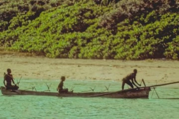 இந்தியர்கள் இருவரைக் கொன்று கம்பத்தில் தொங்கவிட்ட ஆதிவாசிகள்: ஆதிவாசிகளை ஒழிக்க திட்டமிட்டுள்ள பேஸ்புக் குழு...