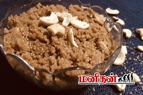 Diwali Sweet: தீபாவளியை ஸ்பெஷலாக்கும் சாமை அல்வா- நீங்களும் செய்து பாருங்க | Homemade Samai Millet Halwa Recipe